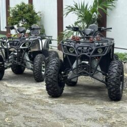 all terrain vehicle for sale