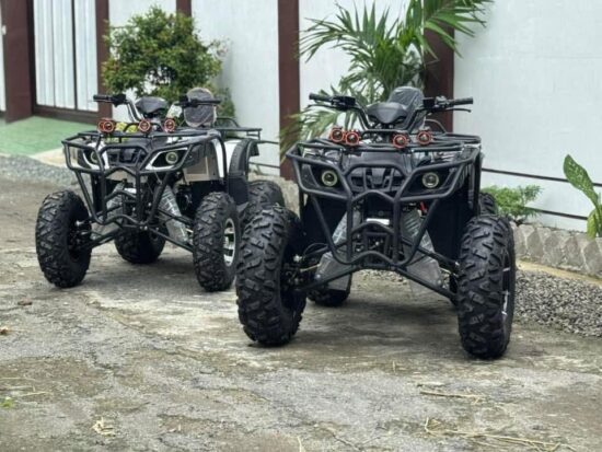 all terrain vehicle for sale